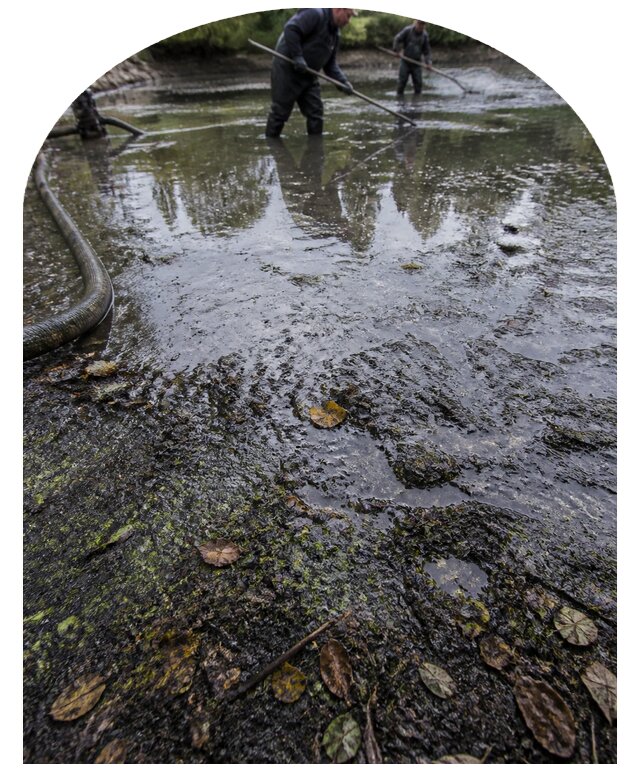 Очистка пруда в Балакове от ила мусора и водорослей с вывозом